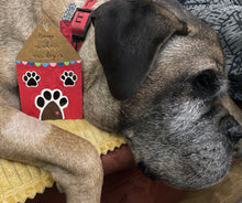 Load image into Gallery viewer, "Home is where your..." Pet Plaque